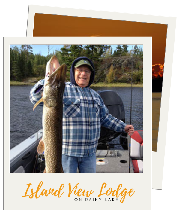 American Falls Lake Fishing Guide - The Outdoorsman Fishing Lakes